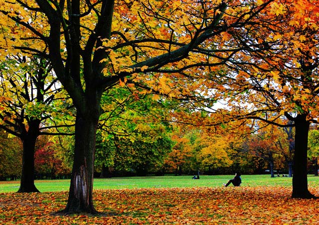 Autumn in London