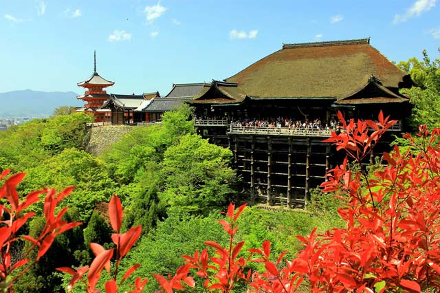 Kiyomizudera Temple Kyoto